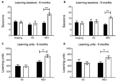 Impaired Reversal Learning in APPPS1-21 Mice in the Touchscreen Visual Discrimination Task